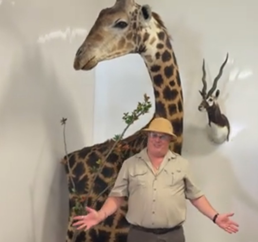 African Safari Auction Beck Auctions